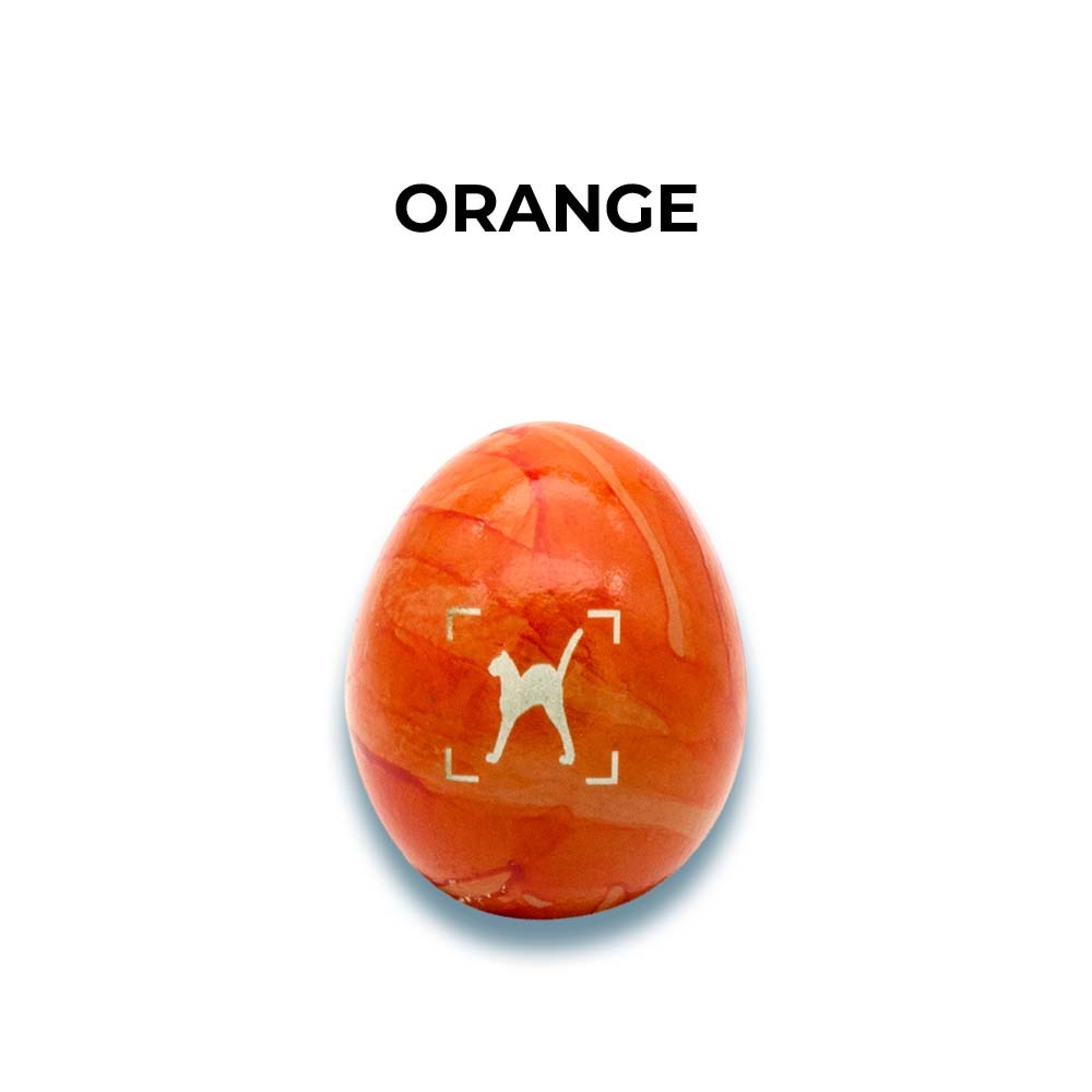 Eier aus Freilandhaltung-Orange sortiert