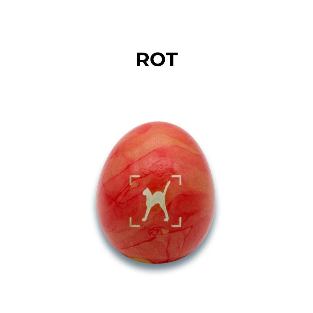 Eier aus Freilandhaltung-Rot sortiert
