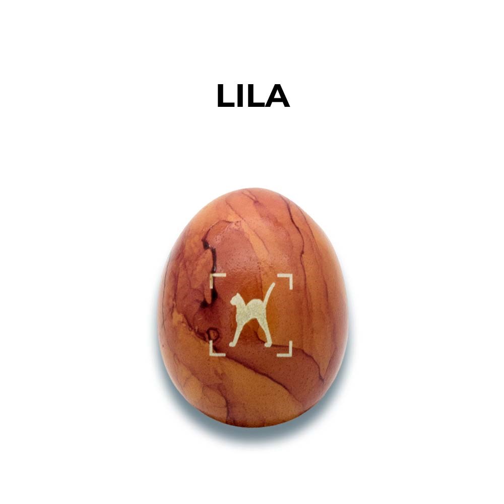 2er Box mit Eiern aus Freilandhaltung-Lila sortiert