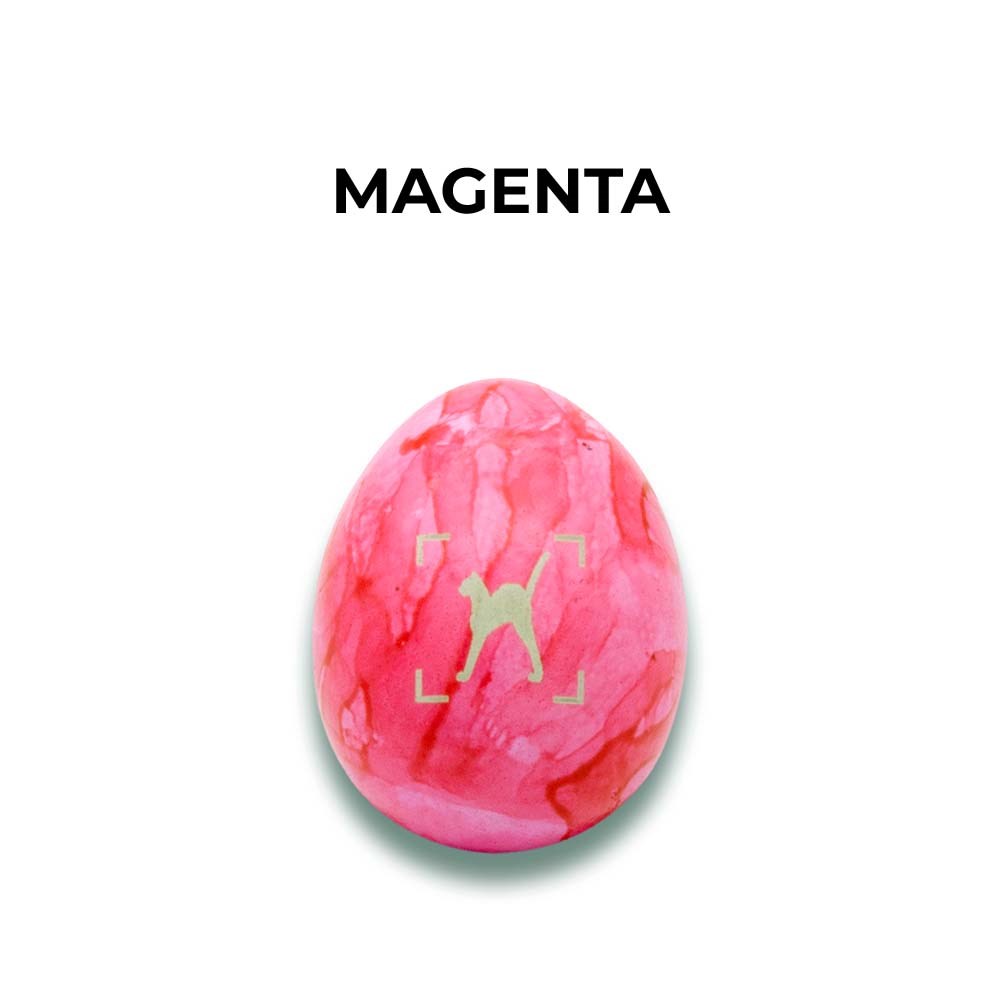 Eier aus Bodenhaltung-Magenta sortiert